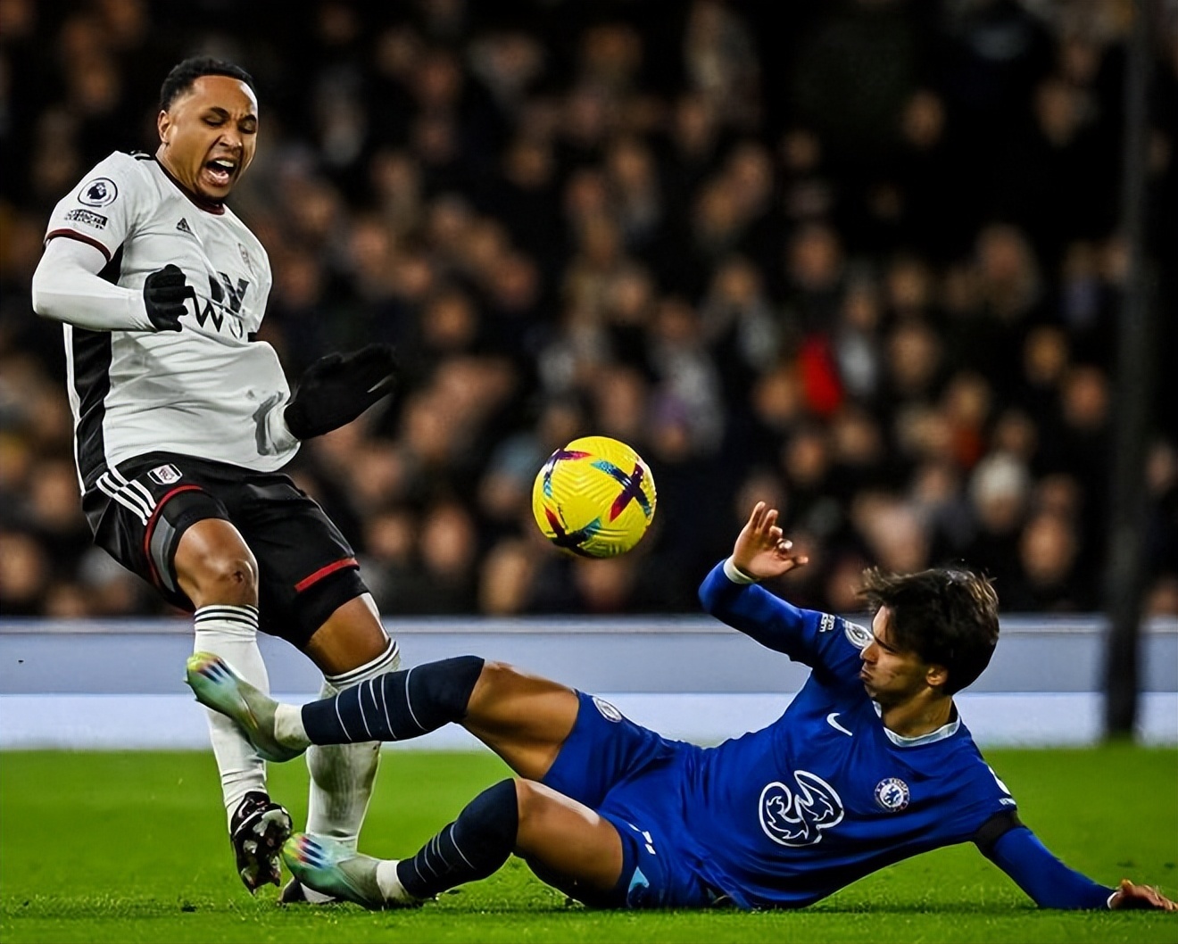 更是激励了 更是激励了